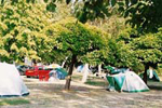 Camping Aranypart
