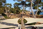 Camping Ibiza la Playa