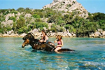 Camping la Pinede